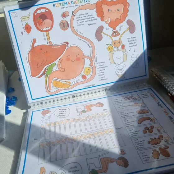 Actividad infantil sobre el sistema digestivo