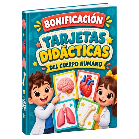 Material de bono: flashcards