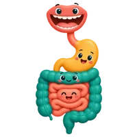 Ilustración del sistema digestivo
