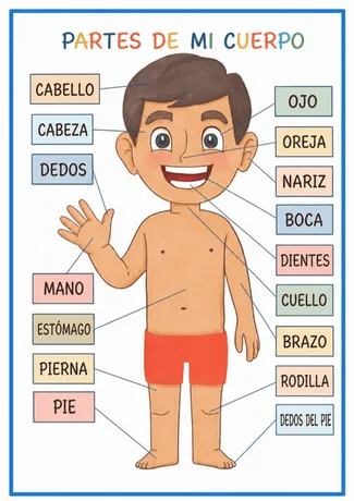 Actividad Partes de Mi Cuerpo, niño