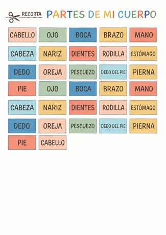 Tarjetas de colores para recortar, partes del cuerpo