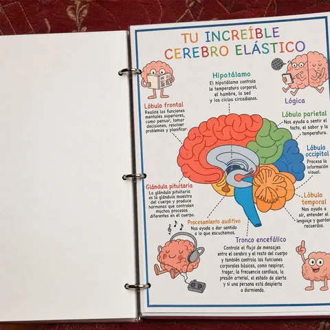 Material de anatomía impreso y en uso