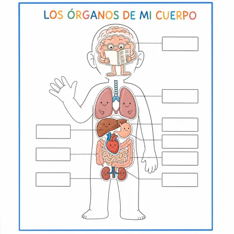 Página de actividades de anatomía impresa